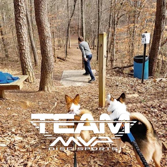 Meet your Posher, Mark - Picture 1 of 1